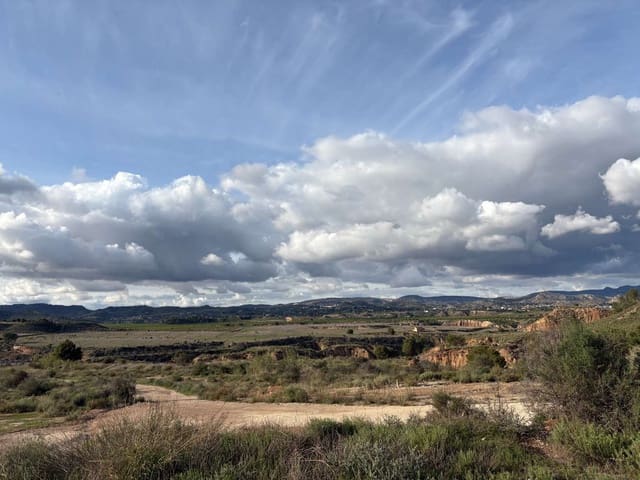 Finca/Country House for sale in Pliego - € 1,300,000 (Ref: 9683407)