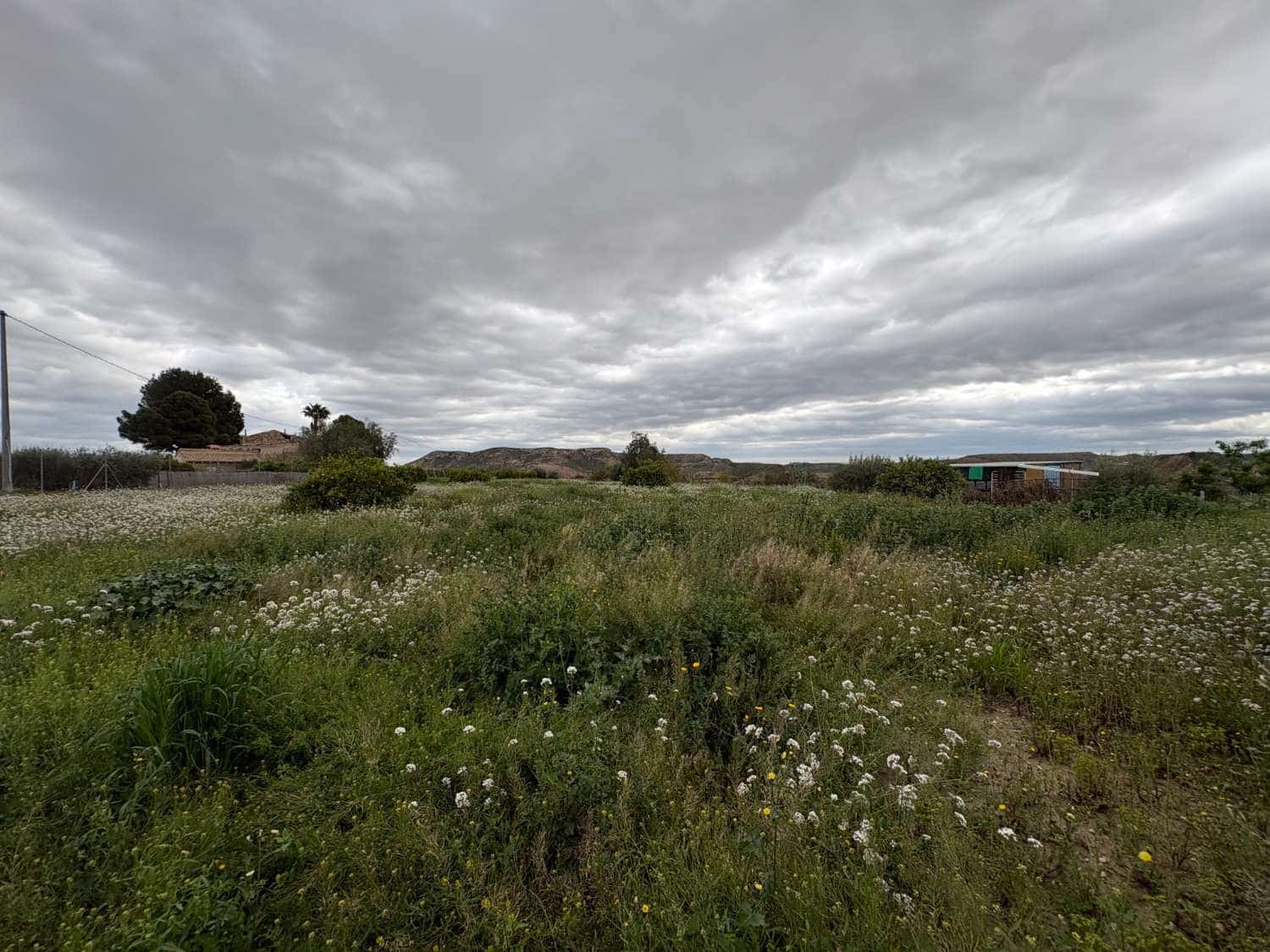 2 sovrum Villa till salu i Mula - 180 000 € (Ref: 9686198)