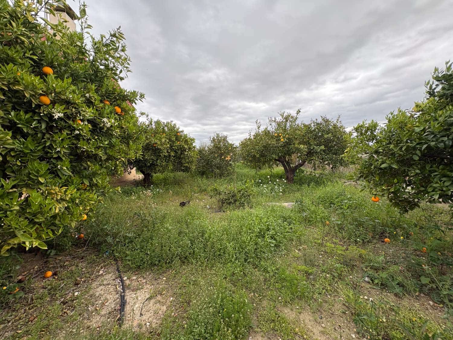 2 sovrum Villa till salu i Mula - 180 000 € (Ref: 9686198)