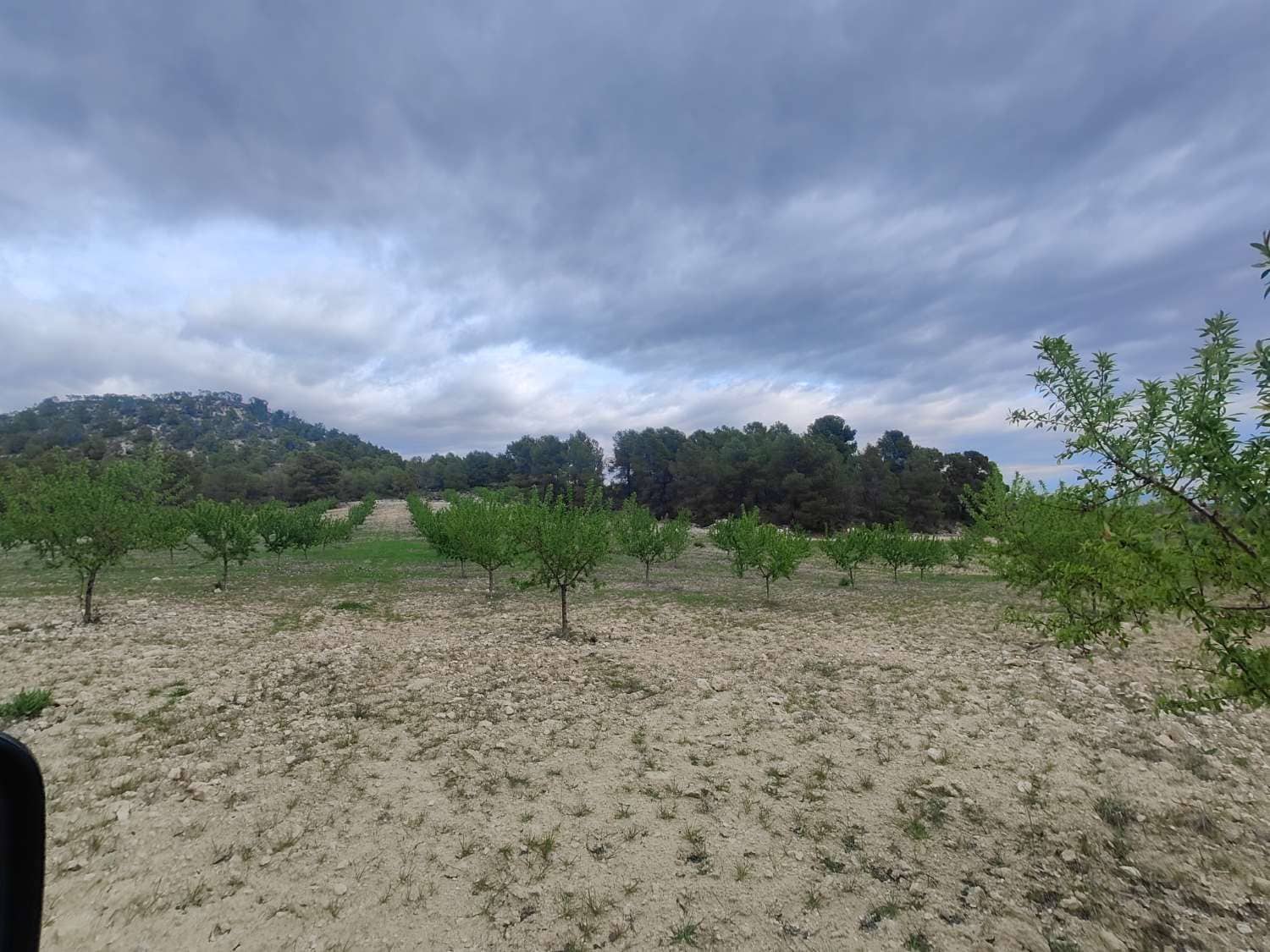 Finca/Country House for sale in Mula - € 35,000 (Ref: 9731748)