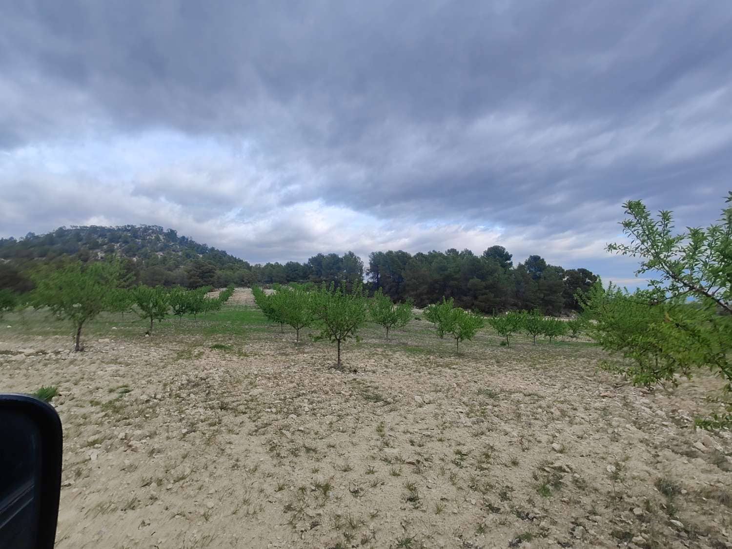 Finca/Country House for sale in Mula - € 35,000 (Ref: 9731748)