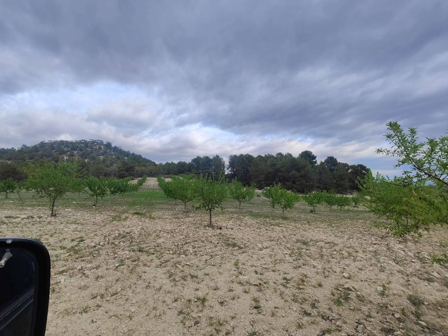 Finca/Country House for sale in Mula - € 35,000 (Ref: 9731748)