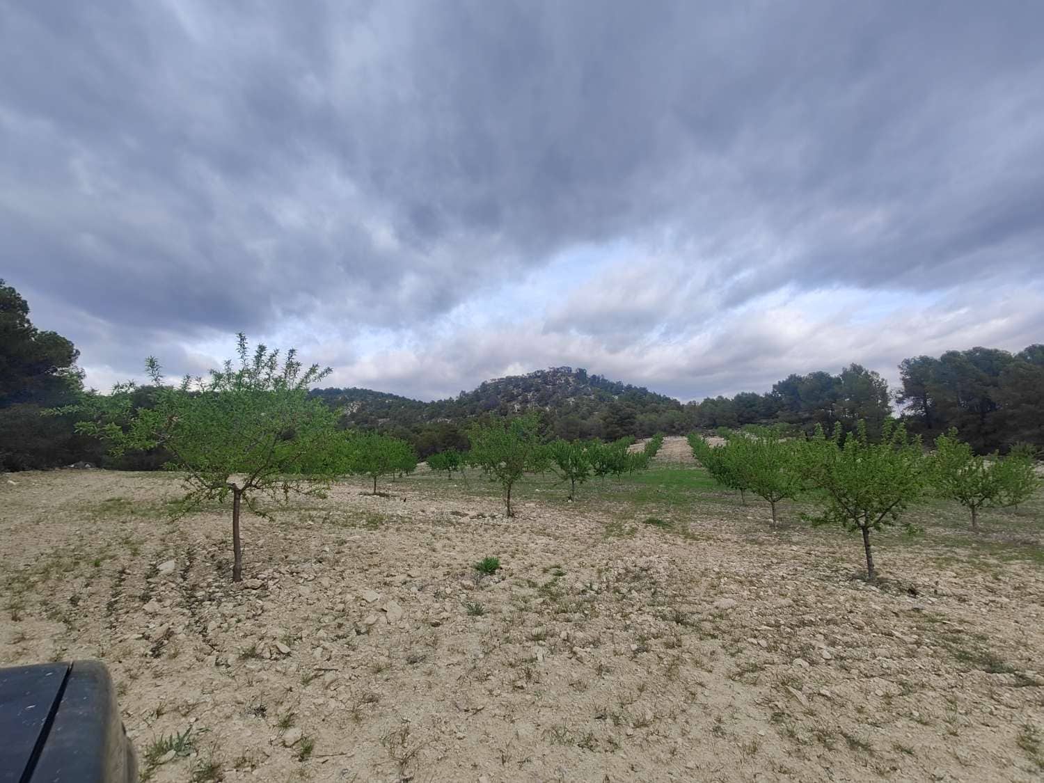 Finca/Country House for sale in Mula - € 35,000 (Ref: 9731748)