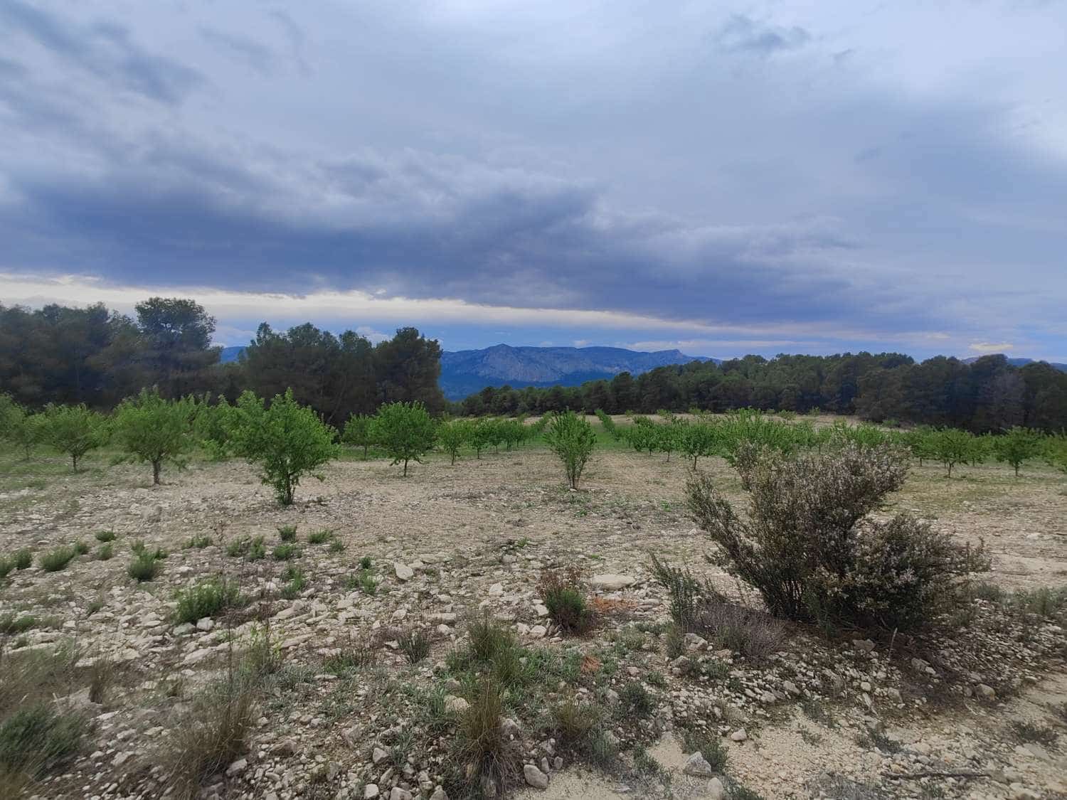 Finca/Country House for sale in Mula - € 35,000 (Ref: 9731748)