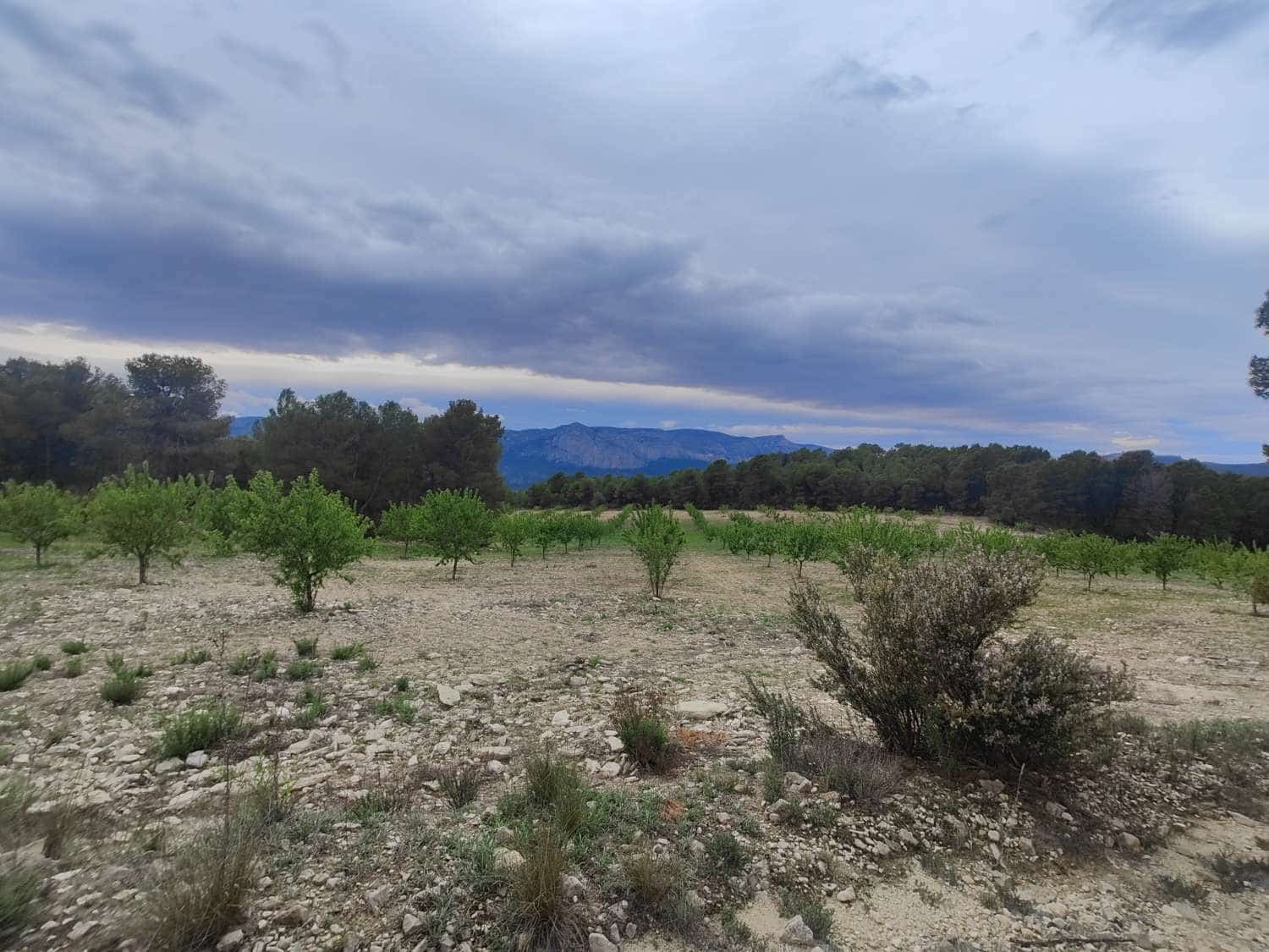 Finca/Country House for sale in Mula - € 35,000 (Ref: 9731748)