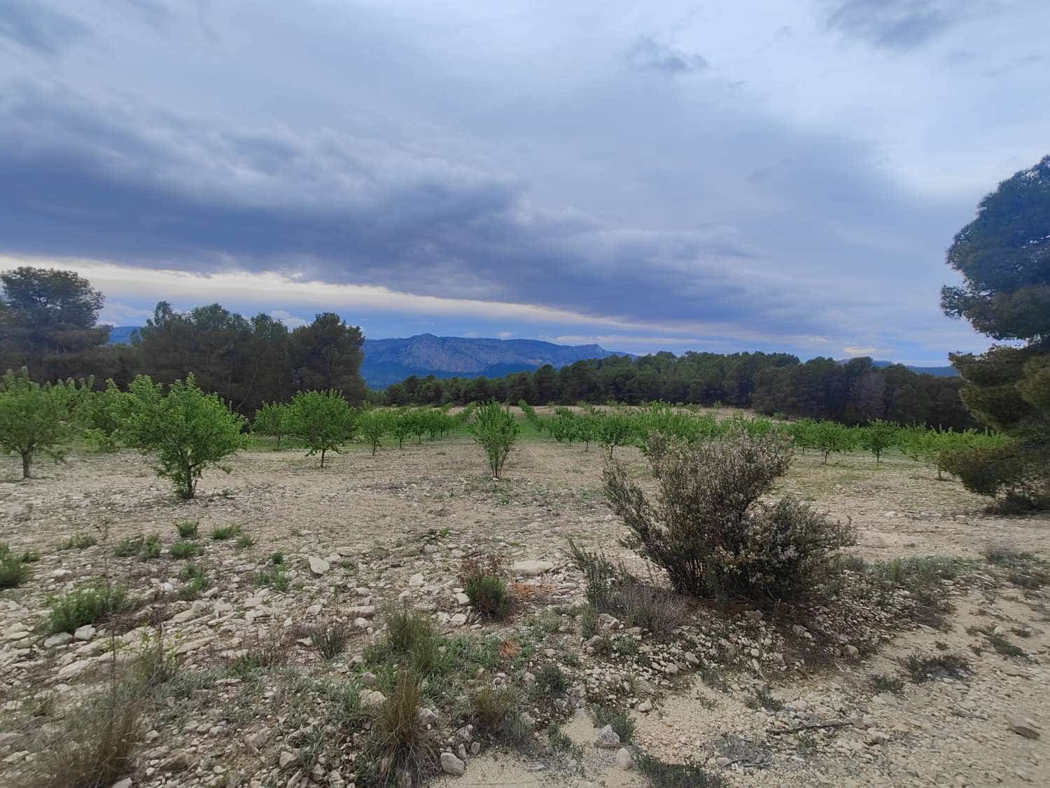 Finca/Country House for sale in Mula - € 35,000 (Ref: 9731748)