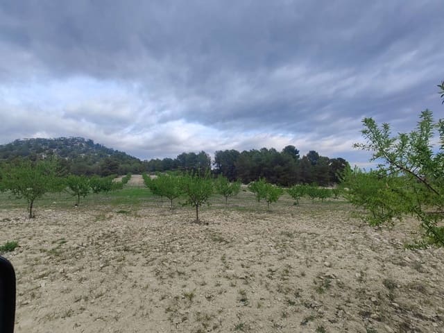 Finca/Casa Rural en Mula en venta - 35.000 € (Ref: 9731748)