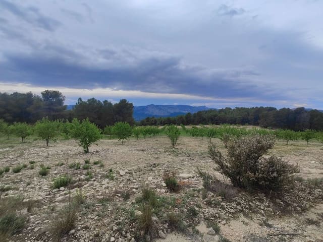 Finca/Casa Rural en Mula en venta - 35.000 € (Ref: 9731748)