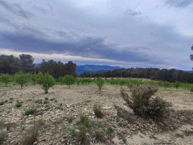 Finca/Casa Rural en Mula en venta - 35.000 € (Ref: 9731748)