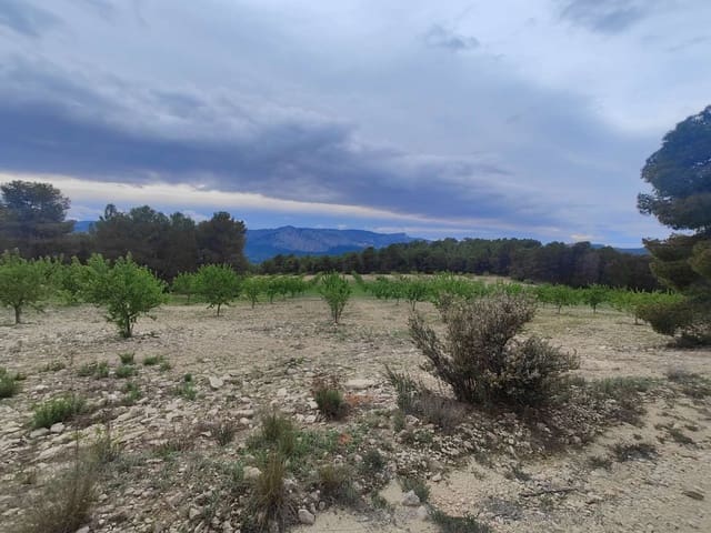 Finca/Casa Rural en Mula en venta - 35.000 € (Ref: 9731748)