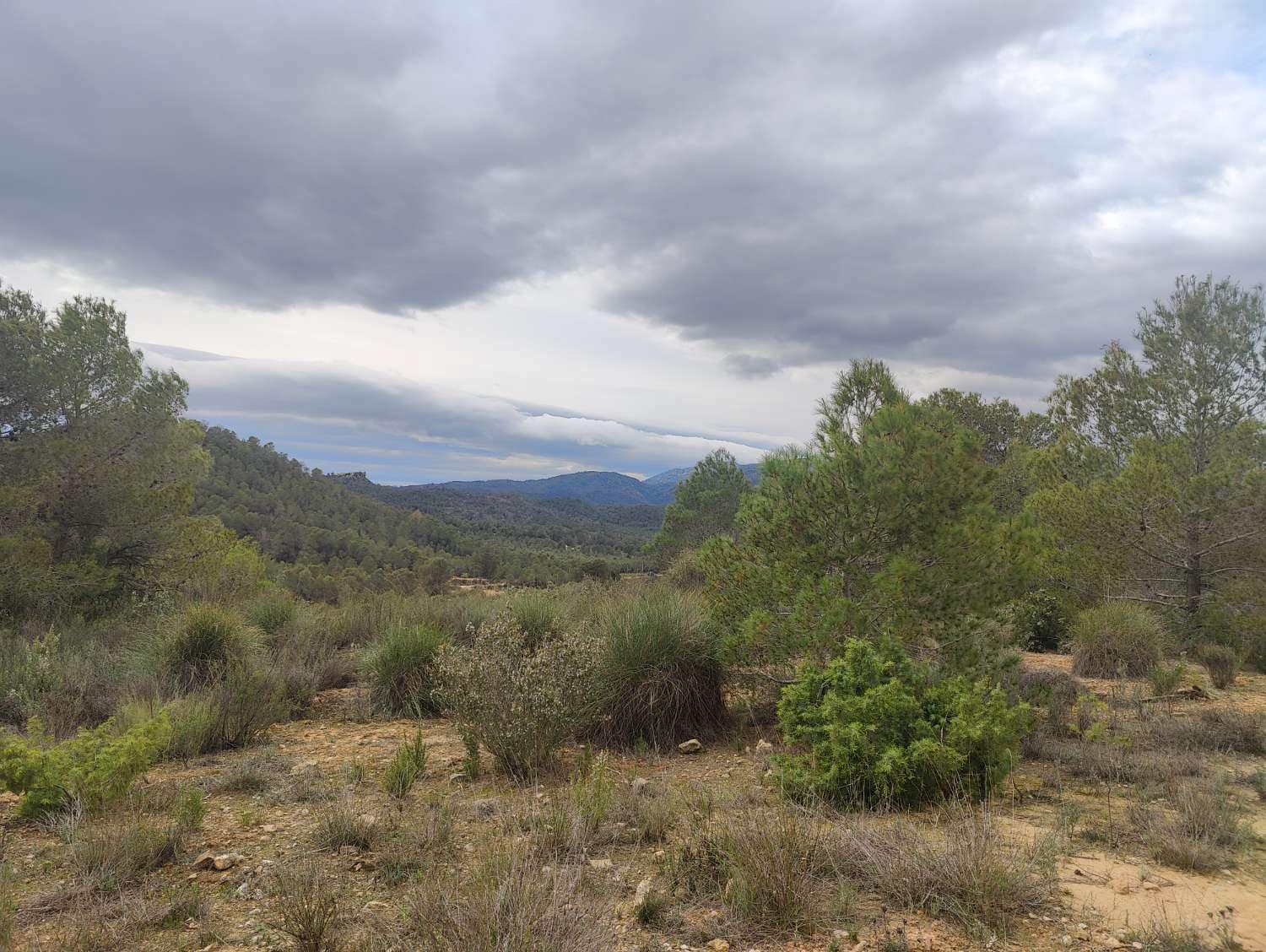 Finca/Country House for sale in Mula - € 35,000 (Ref: 9731748)