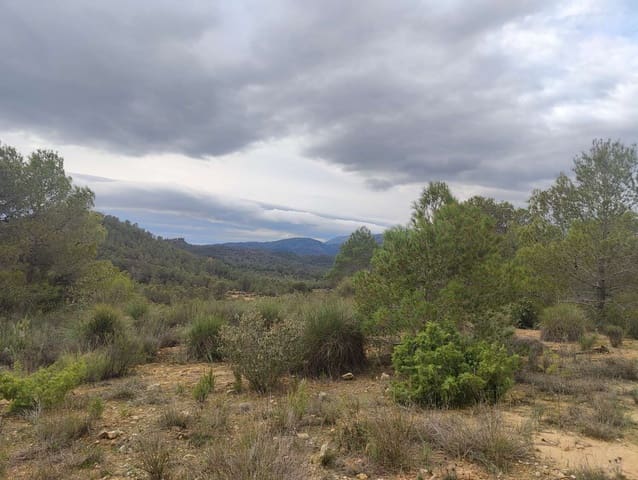 Finca/Casa Rural en Mula en venta - 35.000 € (Ref: 9731748)