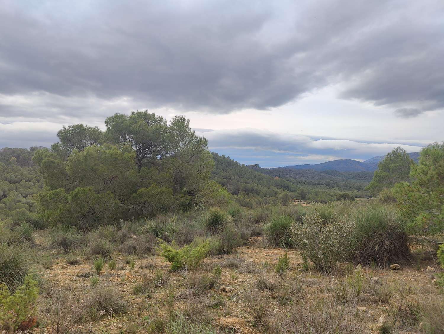 Finca/Country House for sale in Mula - € 35,000 (Ref: 9731748)