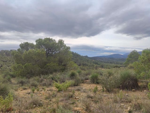 Finca/Casa Rural en Mula en venta - 35.000 € (Ref: 9731748)