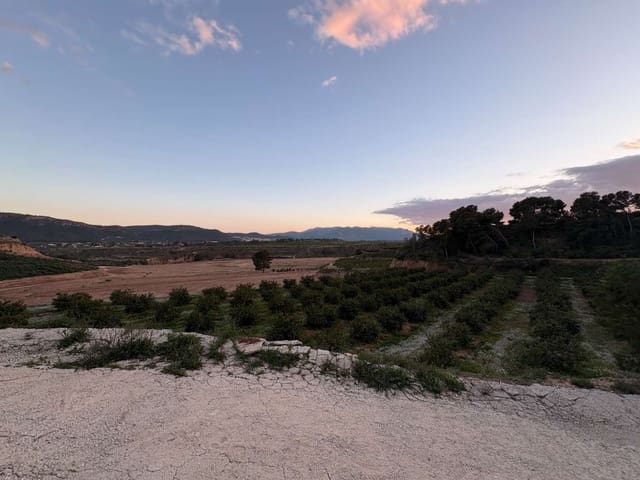 Finca/Casa Rural en Mula en venta - 155.000 € (Ref: 9731749)