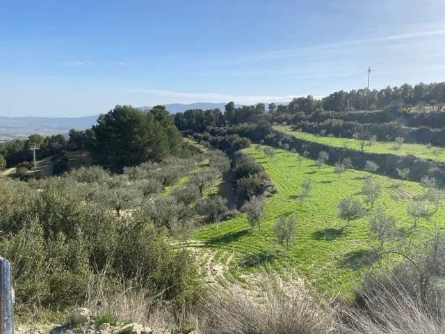 Finca/Country House for sale in Mula - € 66,500 (Ref: 9807796)