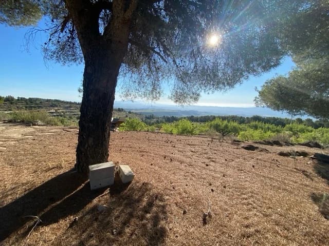 Finca/Country House for sale in Mula - € 66,500 (Ref: 9807796)