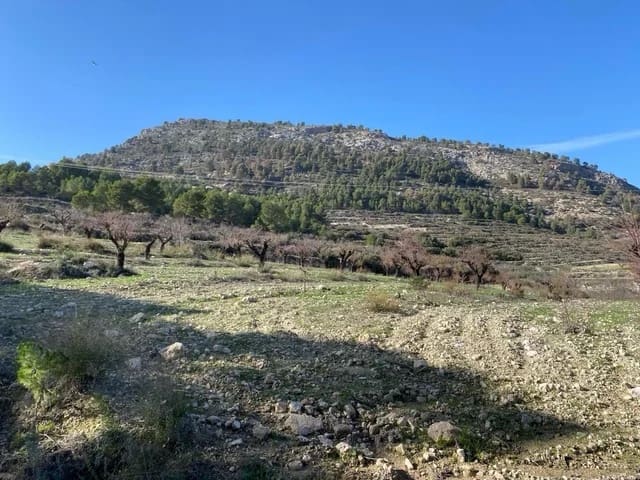 Finca/Country House for sale in Mula - € 66,500 (Ref: 9807796)