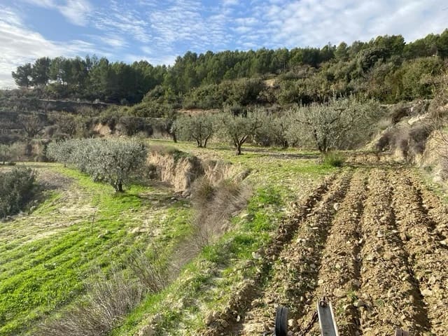 Finca/Country House for sale in Mula - € 66,500 (Ref: 9807796)