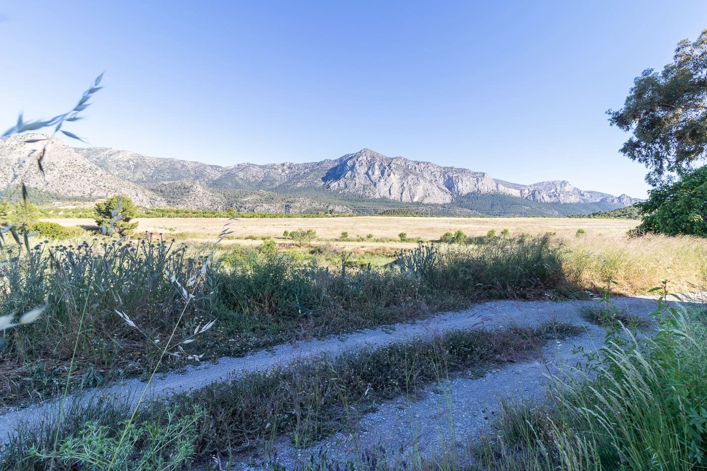 2 soverom Villa til salgs i Mula - € 530 000 (Ref: 9866722)
