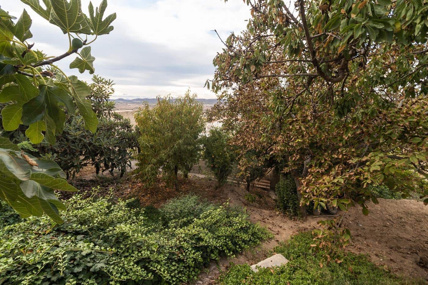 3 bedroom Townhouse for sale in Pliego - € 180,000 (Ref: 9899181)