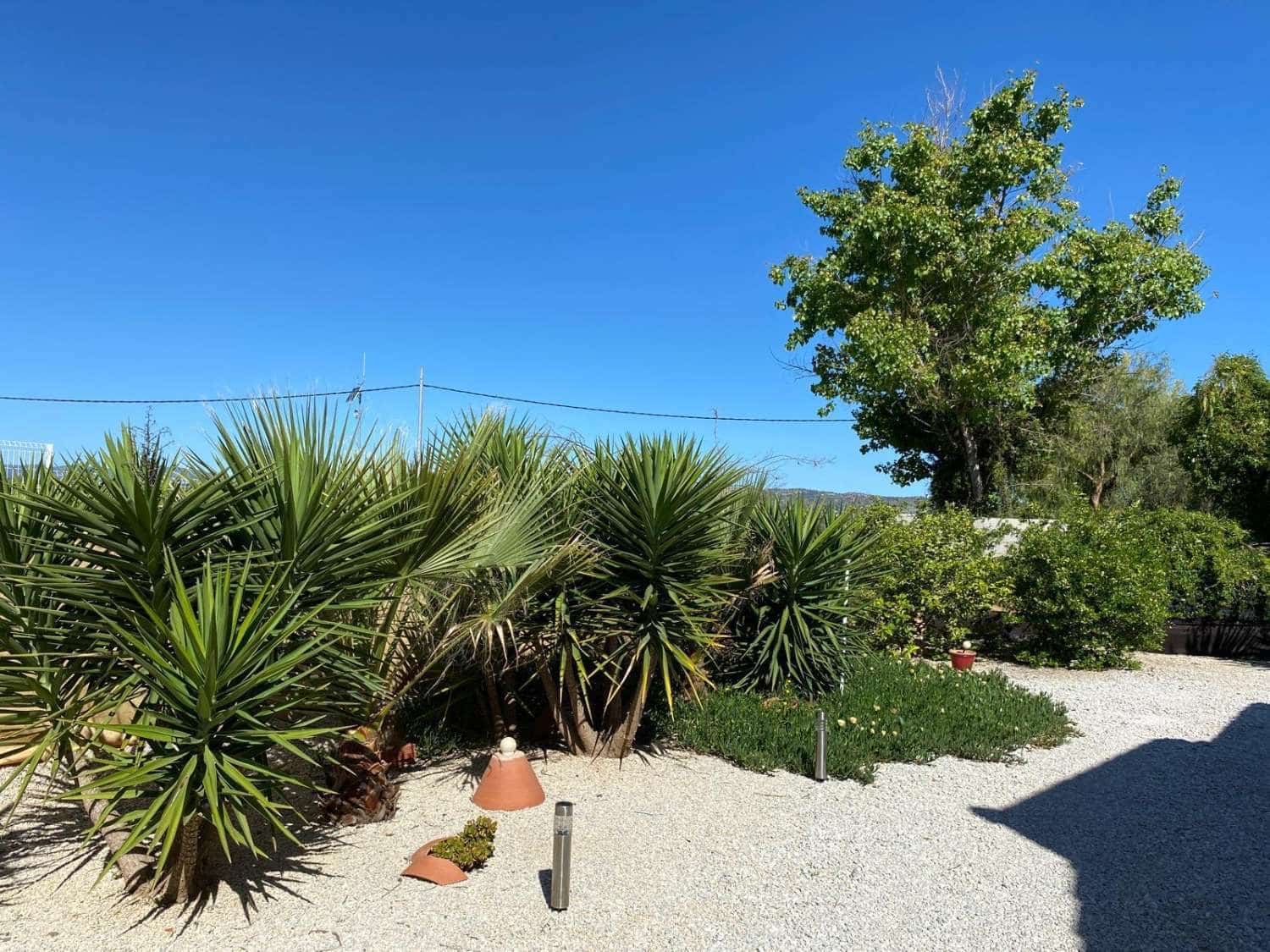 3 sovrum Hus till salu i Pliego - 185 000 € (Ref: 9962260)