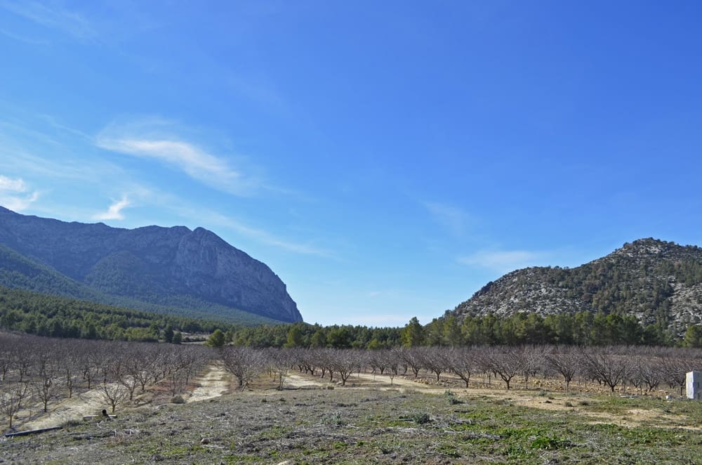 Finca/Casa Rural en Mula en venta - 1.300.000 € (Ref: 9998147)