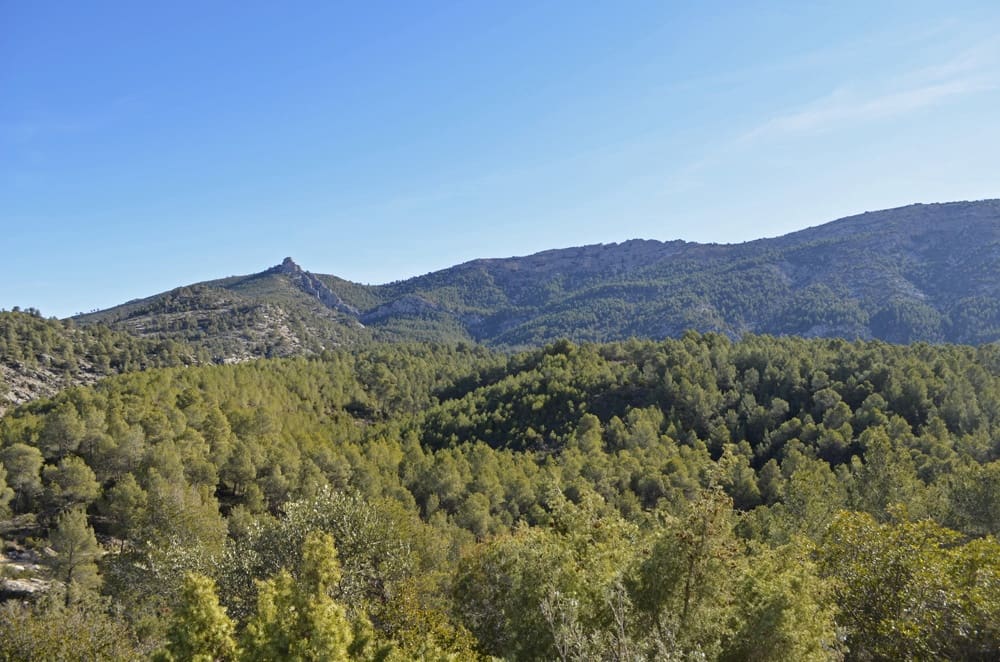 Finca/Casa Rural en Mula en venta - 1.300.000 € (Ref: 9998147)