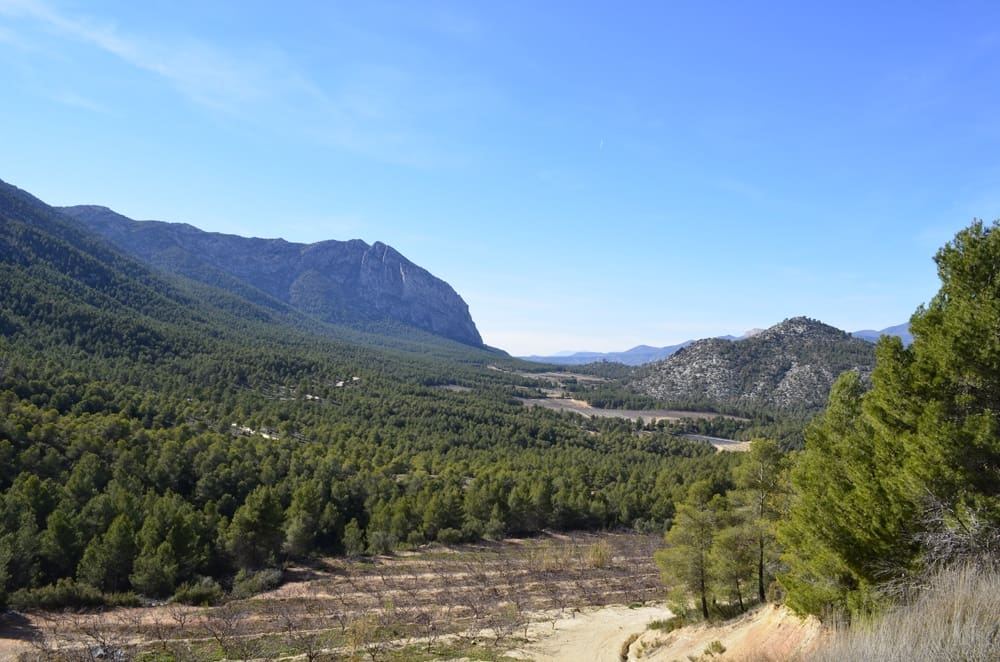 Finca/Casa Rural en Mula en venta - 1.300.000 € (Ref: 9998147)