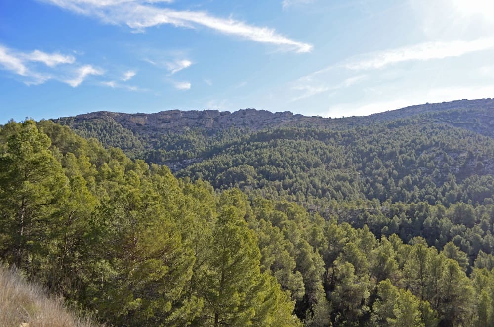 Finca/Casa Rural en Mula en venta - 1.300.000 € (Ref: 9998147)