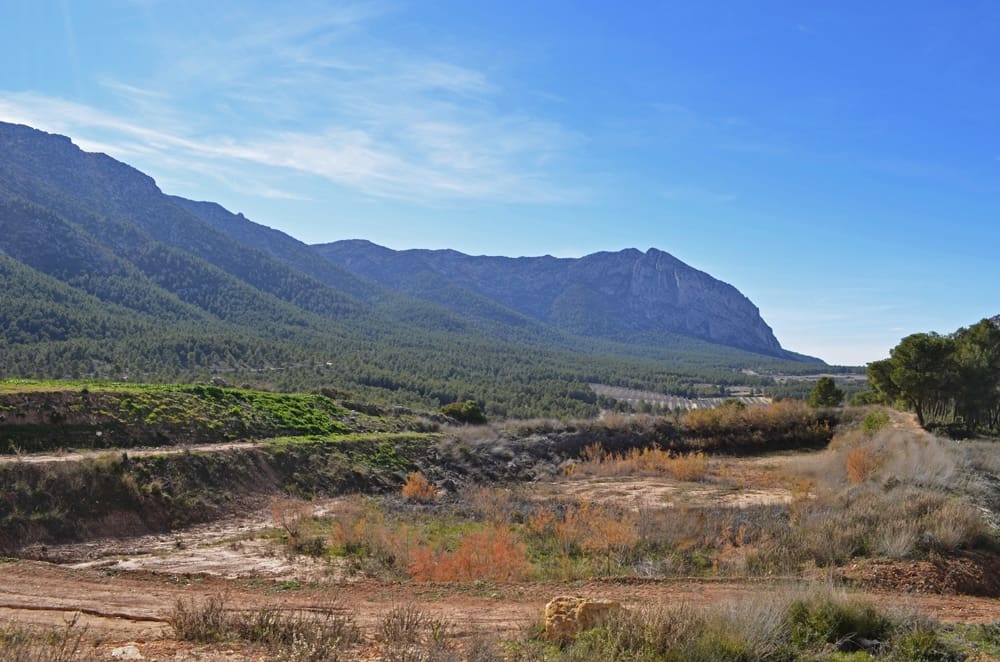 Finca/Casa Rural en Mula en venta - 1.300.000 € (Ref: 9998147)