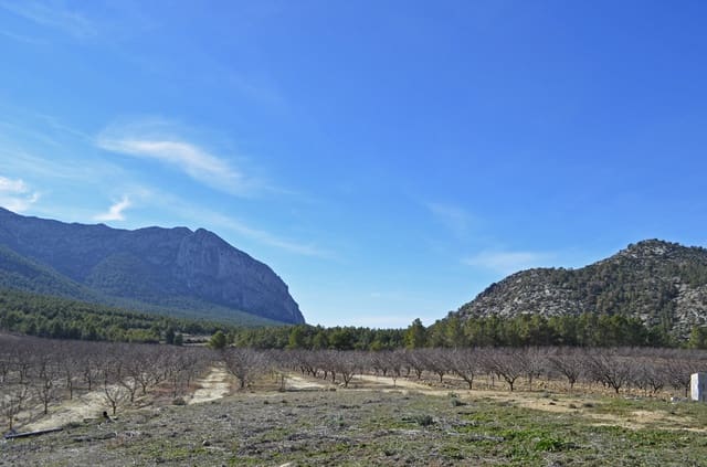 Finca/Casa Rural en Mula en venta - 1.300.000 € (Ref: 9998147)