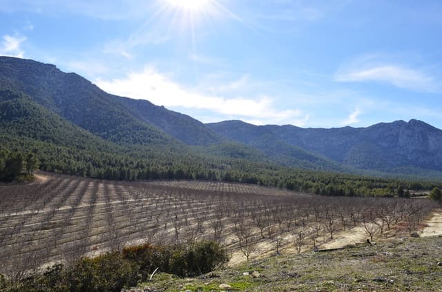 Finca/Casa Rural en Mula en venta - 1.300.000 € (Ref: 9998147)