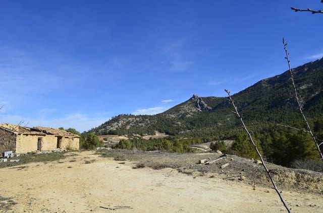 Finca/Casa Rural en Mula en venta - 1.300.000 € (Ref: 9998147)