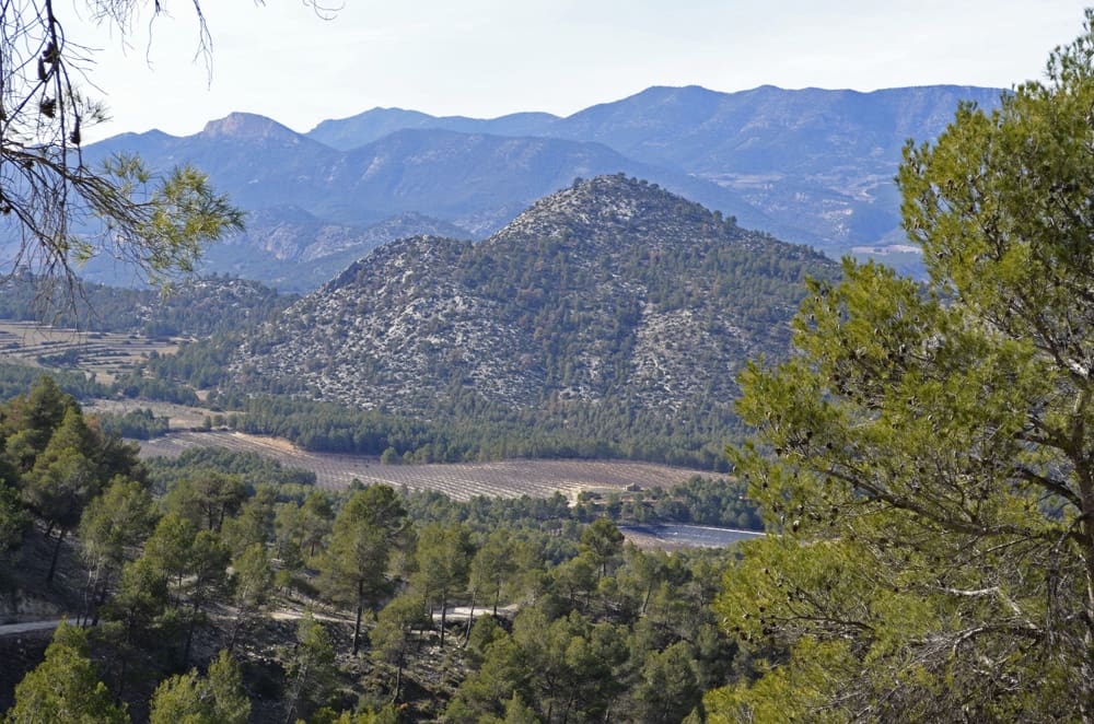 Finca/Casa Rural en Mula en venta - 1.300.000 € (Ref: 9998147)