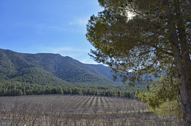 Finca/Casa Rural en Mula en venta - 1.300.000 € (Ref: 9998147)