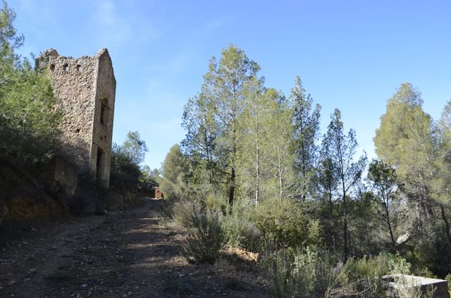 Finca/Casa Rural en Mula en venta - 1.300.000 € (Ref: 9998147)