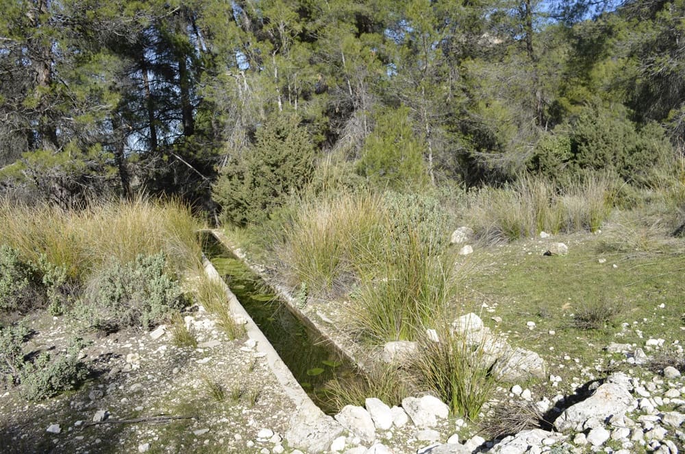 Finca/Casa Rural en Mula en venta - 1.300.000 € (Ref: 9998147)