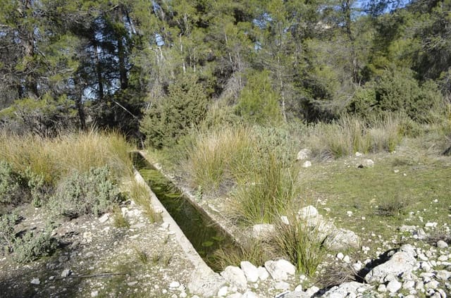 Finca/Casa Rural en Mula en venta - 1.300.000 € (Ref: 9998147)