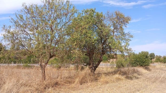 Terreno para Construção para venda em Valderrobres - 18 000 € (Ref: 10124555)