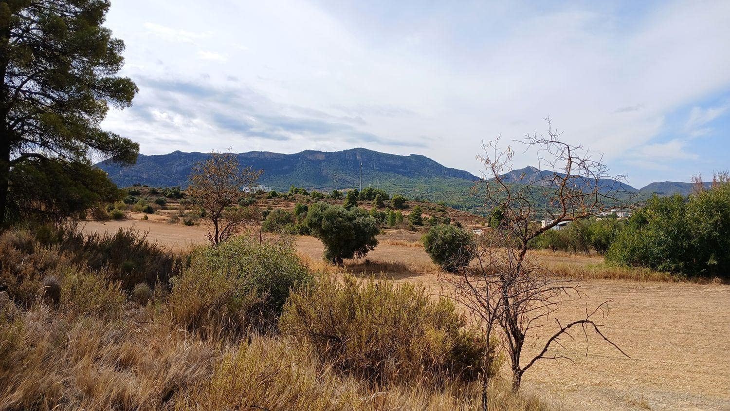 Building Plot for sale in Valderrobres - € 18,000 (Ref: 10124555)