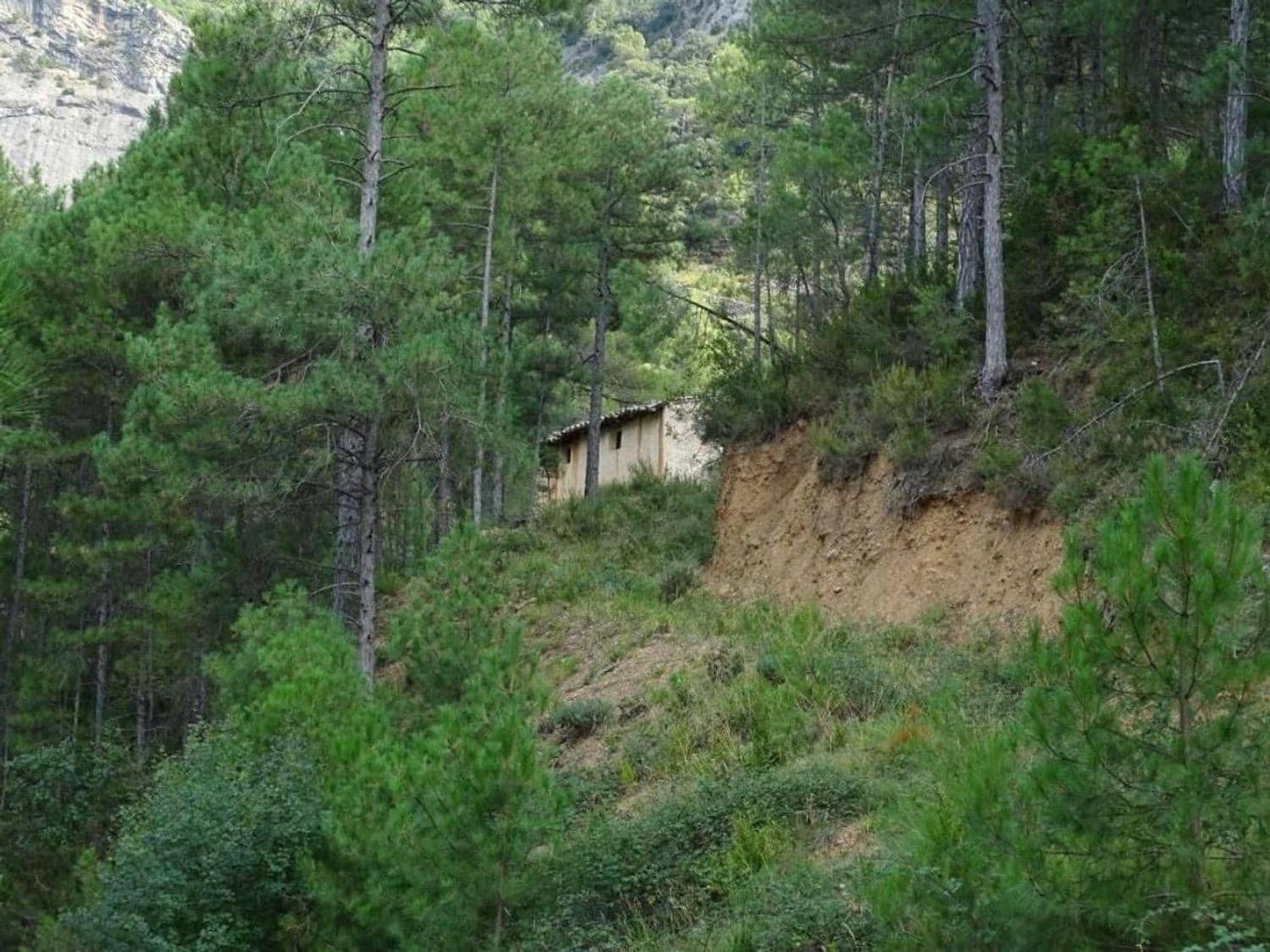 Finca/Landehus til salg i Beceite - € 65.000 (Ref: 10124566)