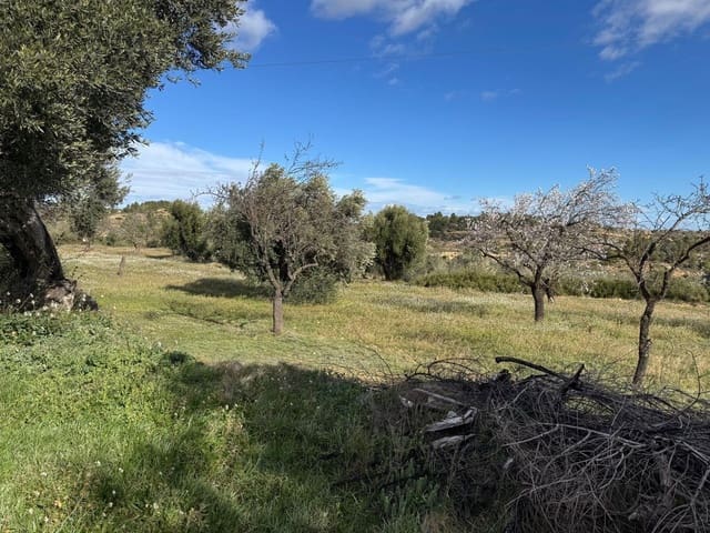 Solar/Parcela en Valjunquera en venta - 22.000 € (Ref: 10124587)