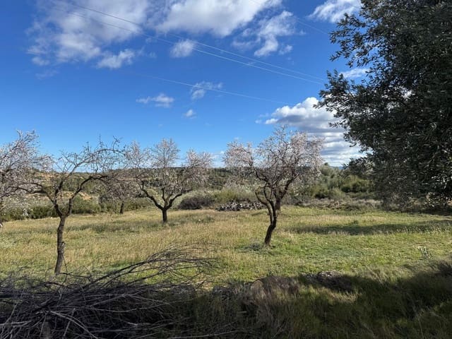 Solar/Parcela en Valjunquera en venta - 22.000 € (Ref: 10124587)