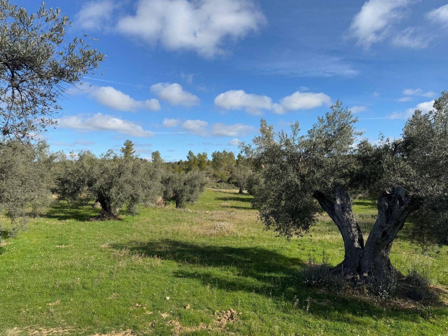1 bedroom Finca/Country House for sale in Valderrobres - € 105,000 (Ref: 10124588)