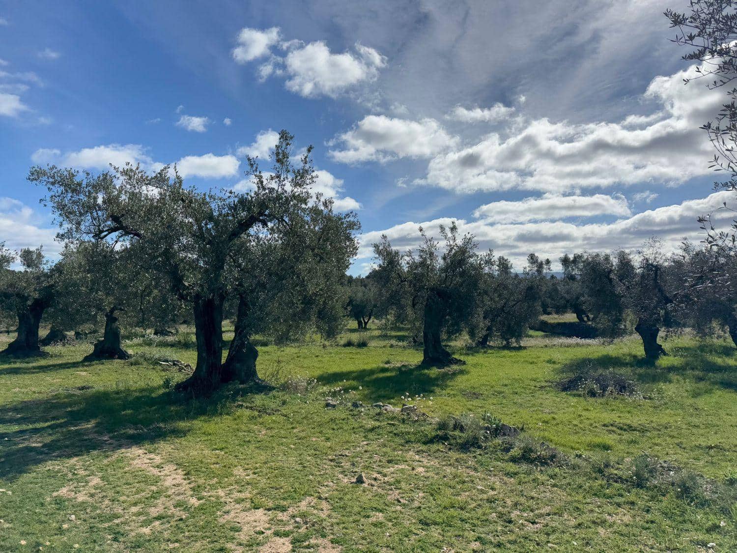 1 bedroom Finca/Country House for sale in Valderrobres - € 105,000 (Ref: 10124588)