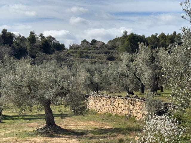 1 bedroom Finca/Country House for sale in Valderrobres - € 105,000 (Ref: 10124588)