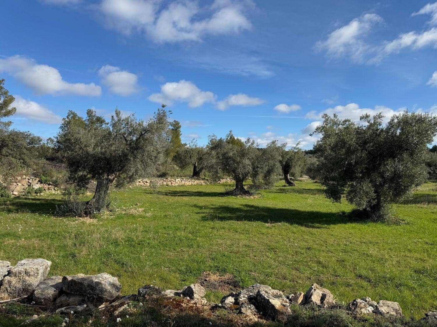 1 bedroom Finca/Country House for sale in Valderrobres - € 105,000 (Ref: 10124588)