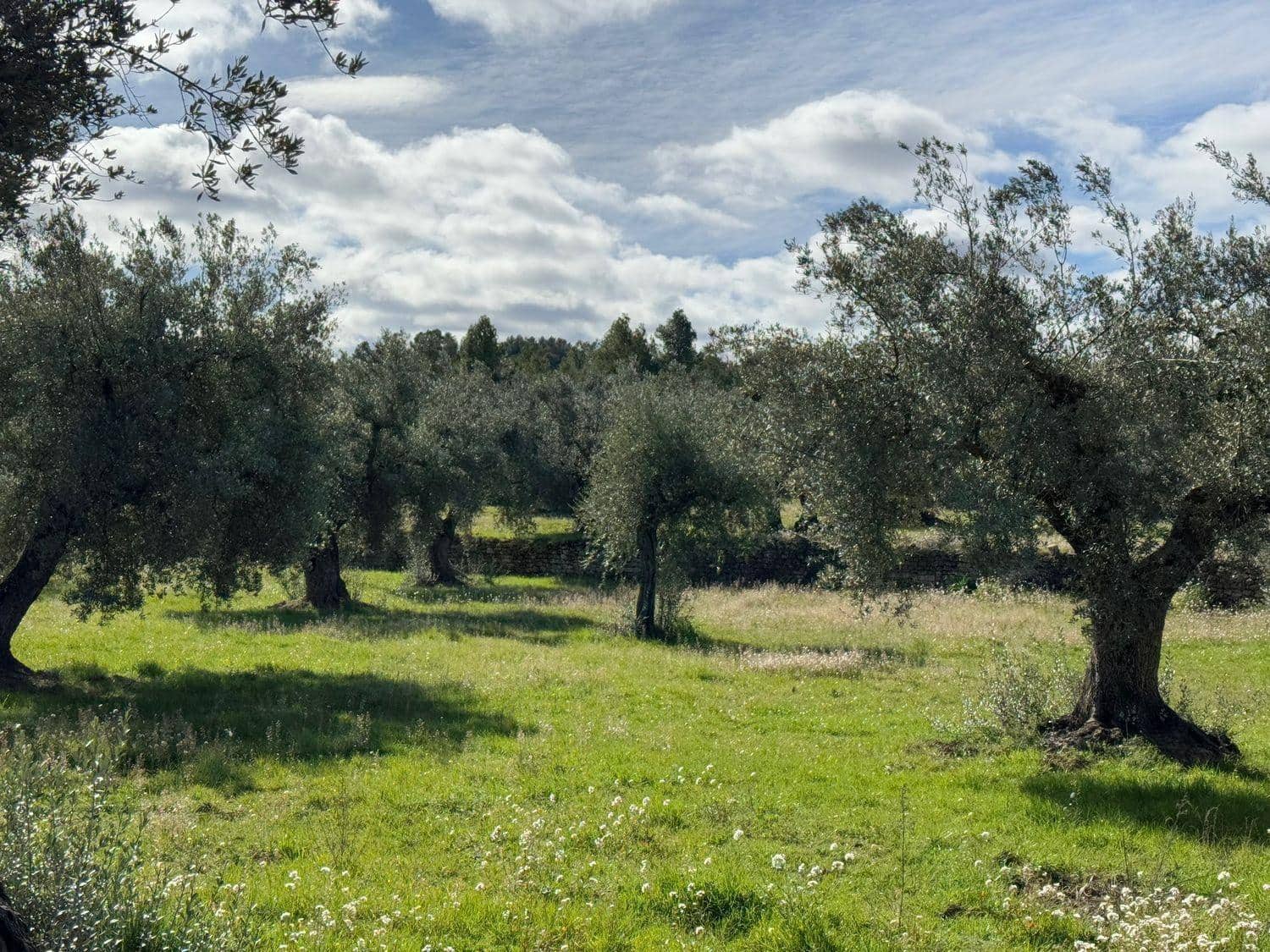 1 bedroom Finca/Country House for sale in Valderrobres - € 105,000 (Ref: 10124588)