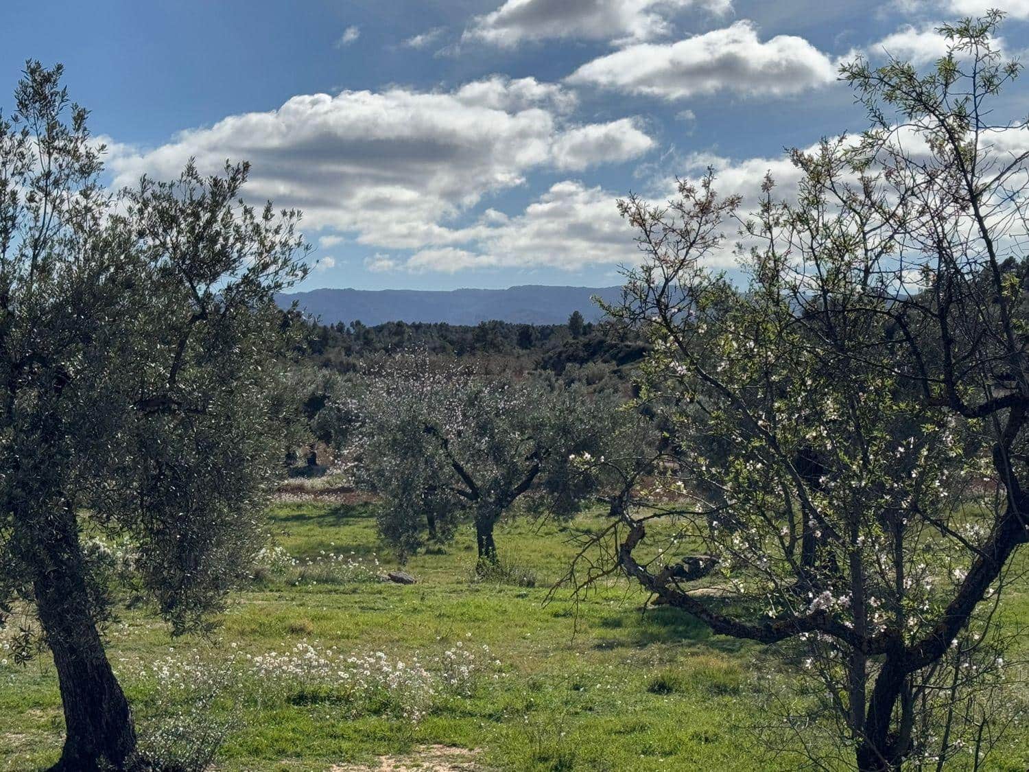 1 bedroom Finca/Country House for sale in Valderrobres - € 105,000 (Ref: 10124588)